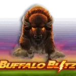 Buffalo Blitz Logo