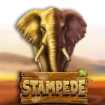 Stampede Slot Logo