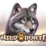 Wild North Slot Logo